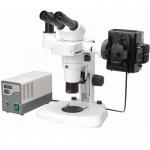 Parallel Gem Stereo Optical Microscope Transmitted Light Microscopes Rohs A23.1004 for sale