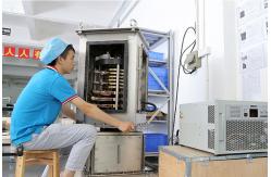 china Industrial Slip Ring exporter
