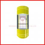 1000kg Sound Insulation Passenger Elevator With Small Machine Room for sale