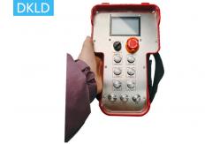 China 6-Way Dual Speed 3-Point Single Speed Crane Remote Control supplier