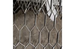 China 0.5-15mm Galvanized Expanded Metal Mesh Screen PVC Coated supplier