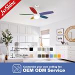 Remote Control Ceiling Fan with Noiseless Operation and Lighting Solutions Service