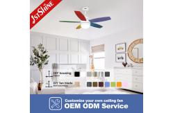 China Remote Control Ceiling Fan with Noiseless Operation and Lighting Solutions Service supplier