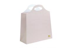 China Custom Promotional Flat Bottom Paper Bags Champion Printing Die Cutting Handles supplier