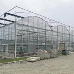 Hydroponics Tomato Cucumber Flower Film Arch Automatic Multispan Glass Greenhouse for sale