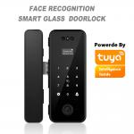 Aluminum ABS Tuya Smart Lock Face Recognition Fingerprint Frameless Glass Door Lock for sale