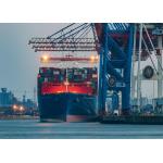 Daily Oceania Freight , Door To Door Overseas Shipping From China for sale