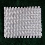                  Plastic Conveyor Belts with 27.2mm Pitch for Conveyor System              for sale