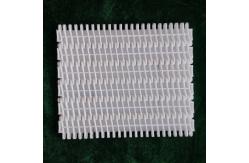 China                  Plastic Conveyor Belts with 27.2mm Pitch for Conveyor System              supplier