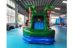 China EN71 Palm Tree Bouncy Castle Water Slide Combo Bounce House supplier