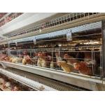 High Brood Survival Rate Layer Chicken Cage Multilayer Partition Structure