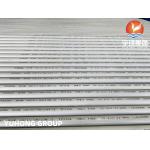 Austenitic ASTM A213 TP316L 1.4404 Seamless Heat Exchanger Tube