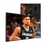 USB Input 240V Advertising Media Player 19Inch Wide LCD Screen 1000:1 Contrast for sale
