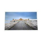 TL2150007-00  21.5 inch LCD Panel Display Screen monitor for sale