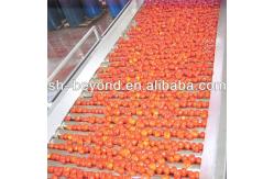 China Fruit / Vegetable Processing Roller Sorting Machine Stainless Steel Roller Tube supplier