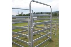 China Welded Zinc Coating Portable Cattle Panels For Livestock supplier