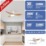 Low Ceiling Room Small LED Ceiling Fan With Plastic Blades And Remote Control