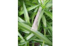 China 4-16MM Thickness 6M Length 16mm Polycarbonate U Profile supplier