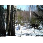 1080P Full HD Infrared Hunting Camera Image Recycle and 36PCS IR LED