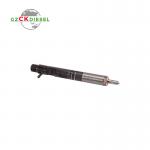 Common Rail Diesel Fuel Injector 28232251 166001137R