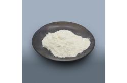 China Papaya Papain Enzyme 300USP-6000USP  For Protein , Feed And Medicine supplier