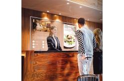 China Home Use Transparent OLED Screen , Double Sided Micro OLED Display supplier