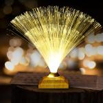 Remote Control Colorful Christmas Xmas Party Decor Luminous Flower Lamp Gradients Led Optic Fiber Star Light for sale