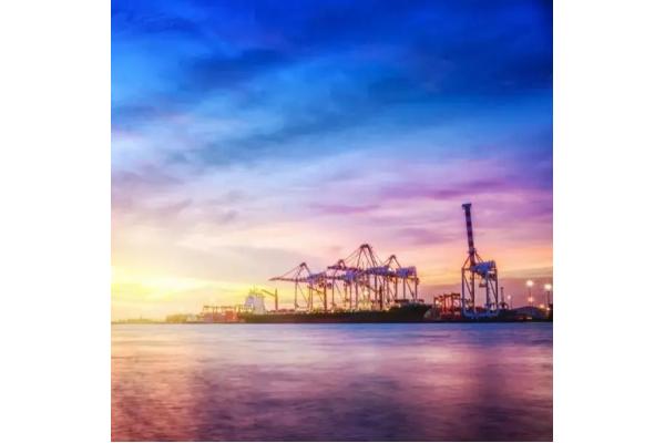 Door To Door Service LCL Container Shipping With Tracking Available