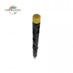 Diesel Common Rail Fuel Injector EJBR05601D 166000897R