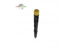 China Diesel Common Rail Fuel Injector EJBR05601D 166000897R supplier