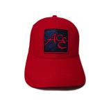High-end ACE Unisex Female Male Custom Glitter Cloth Embroidery Logo Constructed Baseball Cap Hat for sale