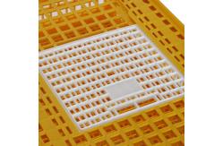 China Farm Plastic Poultry Transport Crates Yellow Chicken Carrier Cage supplier