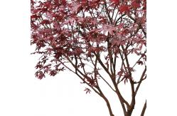 China All Season Simulated Anti UV Artificial Maple Tree Indoor Ornament supplier