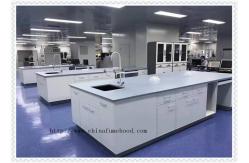 China Customized Chemistry Lab Furniture / Laboratory Working Table With Water Cabinet supplier