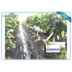 Anti UV PP Non Woven Landscape Fabric for Agricultural Area as Ground Coverings or Plant Bags for sale