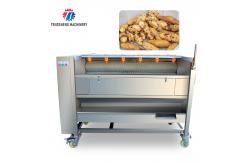China Potato Carrot Brush Cleaning And Peeling Machine 1200-1500KG/H supplier