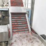 50Hz Fresh Tomato Paste Processing Equipment Automatic Ketchup Production Line for sale
