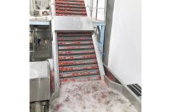 China Automatic Mango Processing Line For Fruit Juice Processing 110V supplier