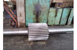 China 17 Module Right Hand Helical Gear Shaft supplier