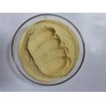 High Protein Microbial Raw Materials With Strong Appetite Stimulation For Aquatic Animal Additives for sale