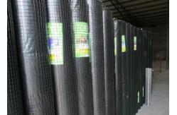 China Square Hole Fencing Green 14mm 1x1 Welded Wire Mesh supplier