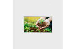 China 27 inch LCD Panel Resolution 2K LVDS 500nits LCMA-RX0270GA10-C050 supplier