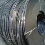 316 AISI Alloy Stainless Steel Strip 0.7mm 0.8mm 0.9mm 1.0mm 5.5mm for sale