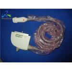 Siemens P4 2 Phased Array Probe Cardiac No Allergic Reaction