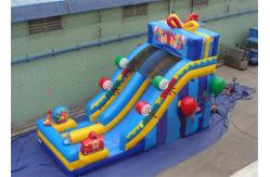 China Happy Birthday Gift Inflatable Water Slide with Silk - screen Printing supplier