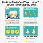 ASTM Brushing Teeth Model For Homeschool Learning for sale