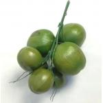 Decorative High Imitation Artificial Coconut Fruit Plastic Durable for sale