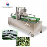 350KG 2.2KW Large wax gourd conveyor belt type peeler Horizontal wax gourd peeler supply planer for sale