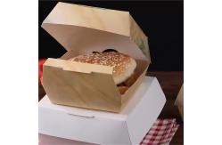China Customized Biodegradable Paper Burger Box with Printing for Fast Food Takeaway supplier