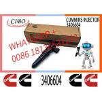 PT Injector 3095773 3406604 3016676 3411821 3064881 3054218 3018566